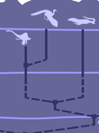 phylognie partie 4