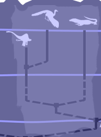 phylognie partie 4
