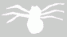arachnides