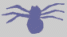 arachnides