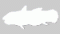 coelacanthes