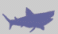 chondrichthyens