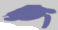 chéloniens