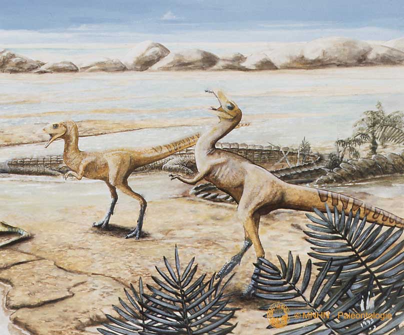 Compsognathus