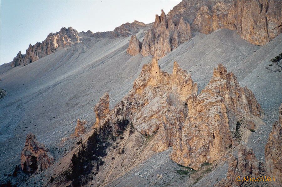 La Casse Déserte