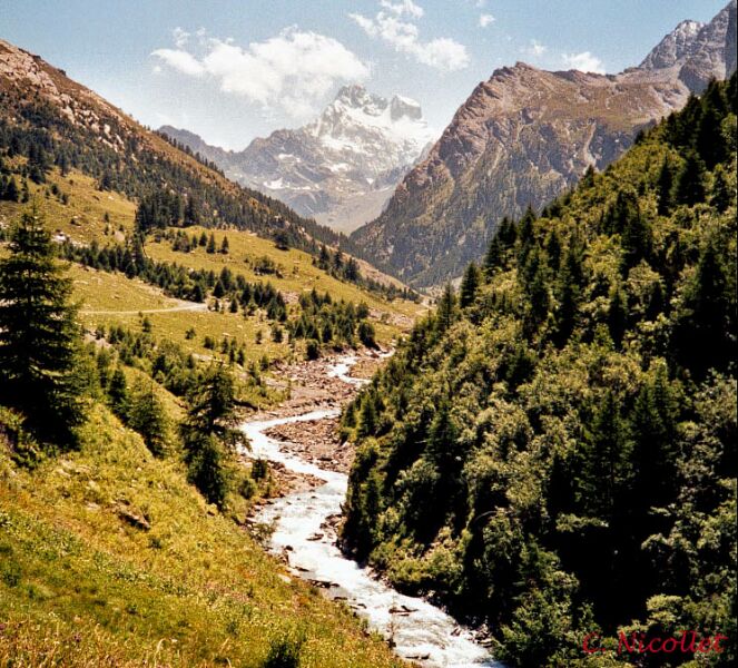 Vallée du Guil et Viso