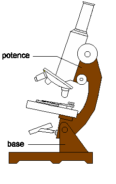 8micro.gif